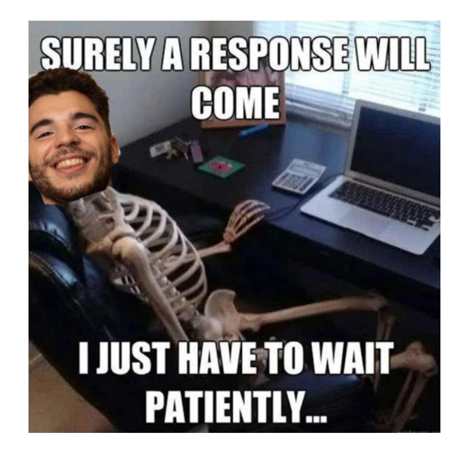 Georgi as a skeleton waiting at a laptop: “Surely a response will come. I just have to wait patiently…”